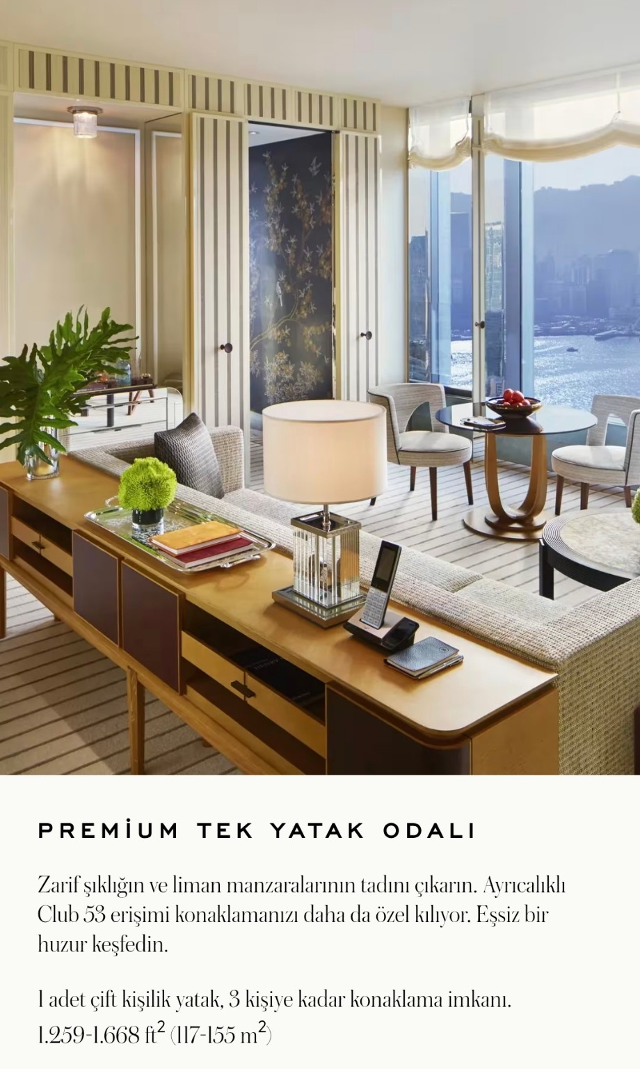 Premium Tek Yatak Odalı oda iç mekânı